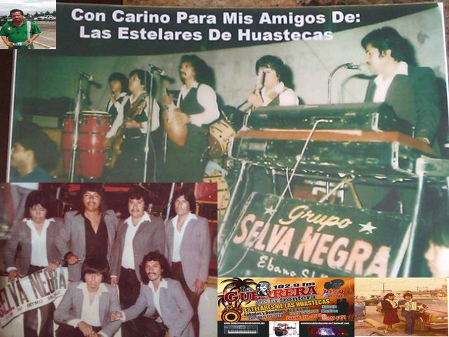 el original ritmo salvaje selva negra